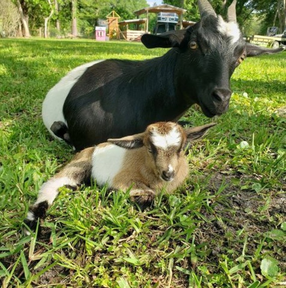 Meet your Posher, Shannon - Picture 1 of 1